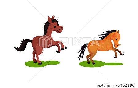 Horse with Crest Standing on Hind Legs and Galloping Vector Set Horse with Crest Standing on Hind Legs and Galloping Vector Set 76802196