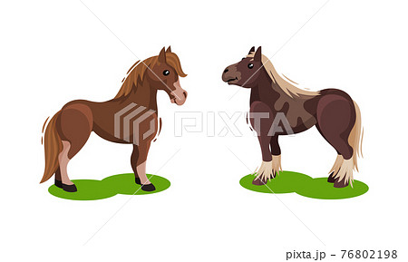 Horse with Crest Grazing on Green Field Vector Set Horse with Crest Grazing on Green Field Vector Set 76802198