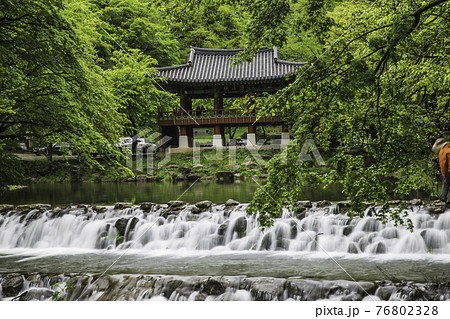 滝 寺院 緑 76802328