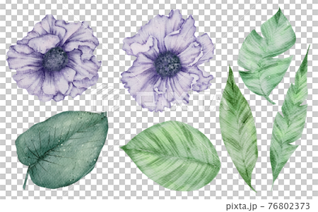 Floral element watercolor collection Floral element watercolor collection 76802373
