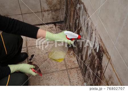 Female cleaning dirty tiles of bathroom wall Female cleaning dirty tiles of bathroom wall 76802707