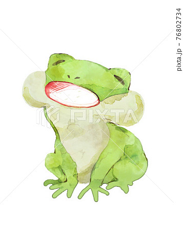 口を開けて歌うカエル 76802734
