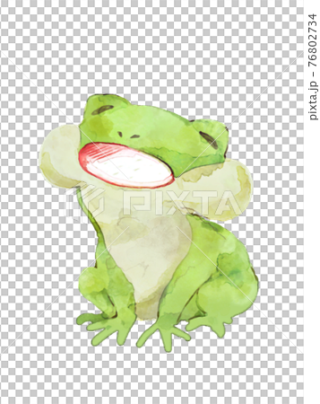 口を開けて歌うカエル 76802734