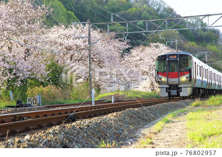電車 電車 76802957