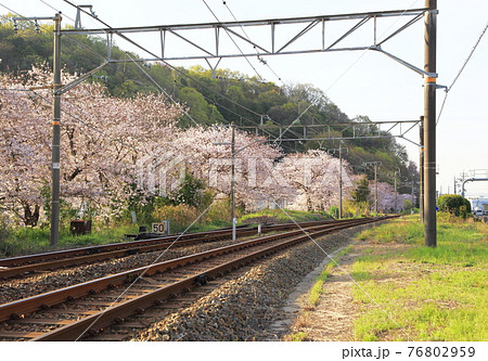 電車 電車 76802959