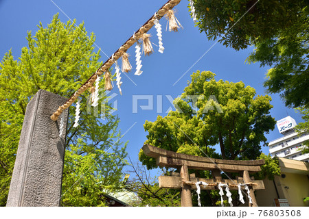 新緑の神社 新緑の神社 76803508