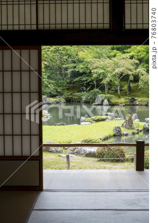 天龍寺の庭園 天龍寺の庭園 76803740