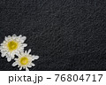 White gerbera flower on denim texture background. blank design in the style of hippie, boho, bohemia for cards, invitations, flyers. free space for your text 76804717
