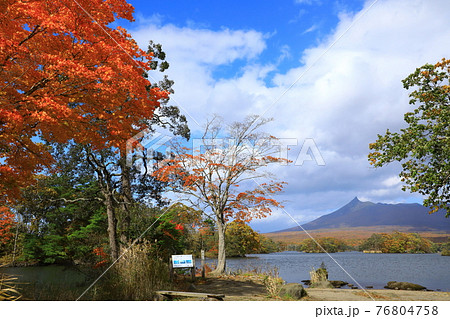 秋の大沼国定公園 紅葉の駒ヶ岳 秋の大沼国定公園 紅葉の駒ヶ岳 76804758