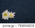 White gerbera flower on denim texture background. blank design in the style of hippie, boho, bohemia for cards, invitations, flyers. free space for your text 76804828