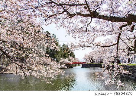 上杉神社 上杉神社 76804870