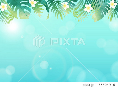 夏の植物の葉っぱ数種類と太陽と青空のベクターイラストフレーム背景 夏の植物の葉っぱ数種類と太陽と青空のベクターイラストフレーム背景 76804916