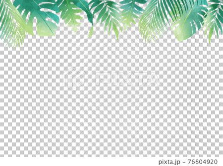 Summer plant leaves several kinds of vector illustration frame background Summer plant leaves several kinds of vector illustration frame background 76804920