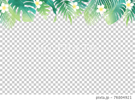 Summer plant leaves several kinds of vector illustration frame background Summer plant leaves several kinds of vector illustration frame background 76804921