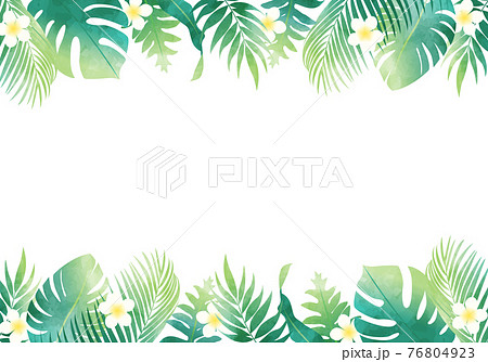 夏の植物の葉っぱ数種類のベクターイラストフレーム背景 76804923