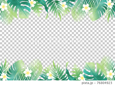 夏の植物の葉っぱ数種類のベクターイラストフレーム背景 76804923