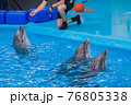 Trained dolphin in the aquarium, dolphinariums. show with dolphins. the trainer works with a trained dolphin. 76805338
