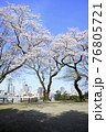 桜と街並み 76805721