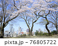 桜と街並み 76805722