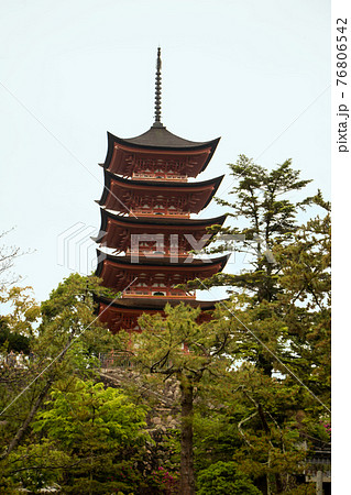 広島県宮島、厳島神社の五重塔 76806542