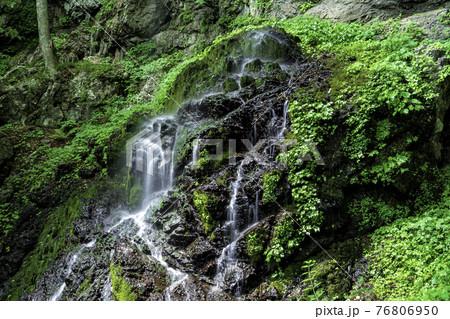 大禅滝 大禅滝 76806950