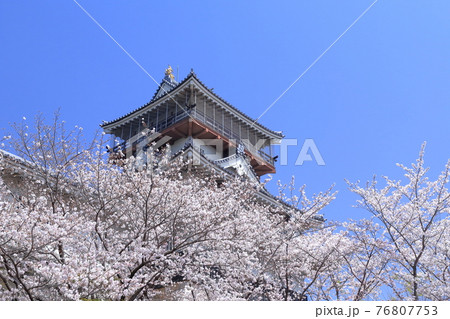 桜とお城（岩崎城　愛知県 日進市） 76807753