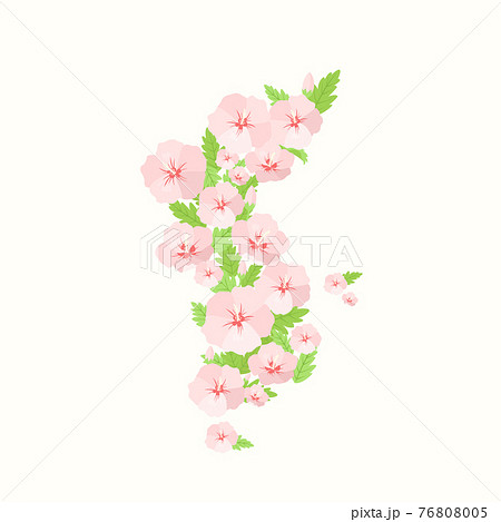 花 ムクゲ 韓国のイラスト素材