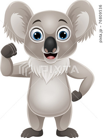 Cartoon strong little koala isolated on white background 76809536