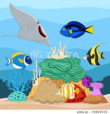 Beautiful underwater world with corals and tropical fish Beautiful underwater world with corals and tropical fish 76809559