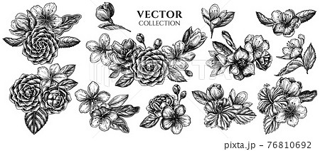 Flower bouquet of black and white hibiscus, plum flowers, peach flowers, sakura flowers, magnolia 76810692