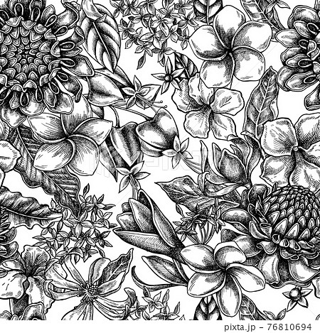Seamless pattern with black and white plumeria, allamanda, clerodendrum, champak, etlingera, ixora Seamless pattern with black and white plumeria, allamanda, clerodendrum, champak, etlingera, ixora 76810694