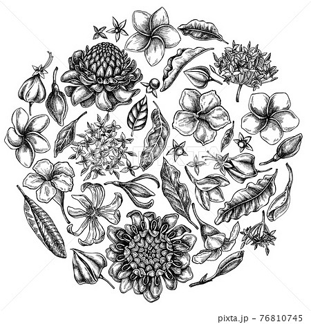 Round floral design with black and white plumeria, allamanda, clerodendrum, champak, etlingera 76810745