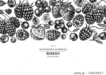 Design with black and white strawberry, blueberry, red currant, raspberry, blackberry Design with black and white strawberry, blueberry, red currant, raspberry, blackberry 76810917