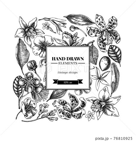 Square floral design with black and white laelia, feijoa flowers, glory bush, papilio torquatus 76810925