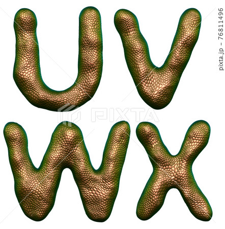 Set of letters U, V, W, X made of realistic 3d render natural gold snake skin texture. 76811496