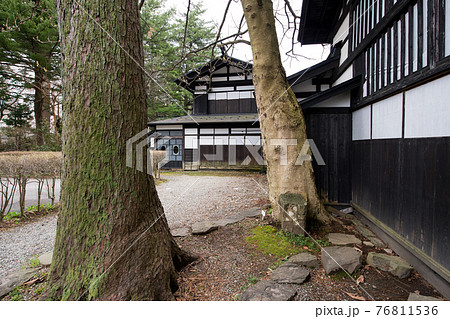 武家屋敷の古木 角館 武家屋敷の古木 角館 76811536