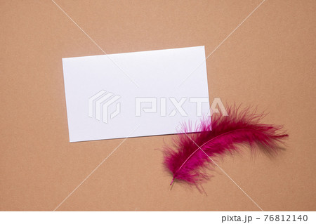 Beautiful abstract purple feather and white postcard on pastel beige background colorful background, colorful feather 76812140