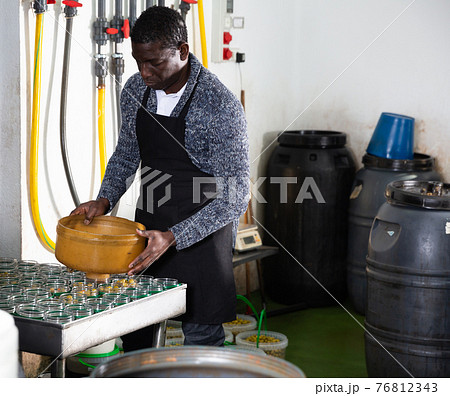 Worker prepares glass jars and olives for canning Worker prepares glass jars and olives for canning 76812343