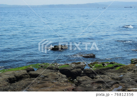 三浦半島から見た夏の一日 三浦半島から見た夏の一日 76812356