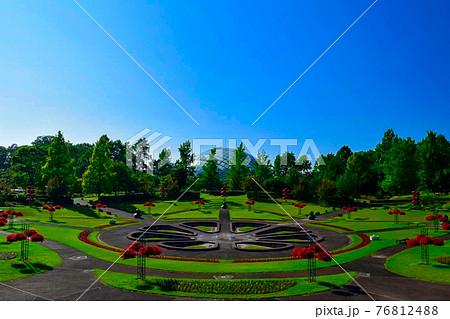 フラワーパークの庭園を一望できる場所 フラワーパークの庭園を一望できる場所 76812488
