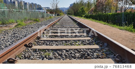 鉄道 レール 線路 76813468