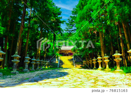 緑豊かな季節の神社 緑豊かな季節の神社 76815163