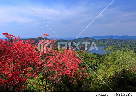 登山道からの絶景　オンツツジ　波介山大峠展望所から茶臼山（高知県　土佐市）	 76815230