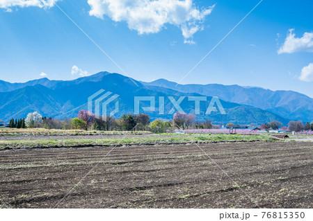 松本市波多　春の牧歌的風景 76815350