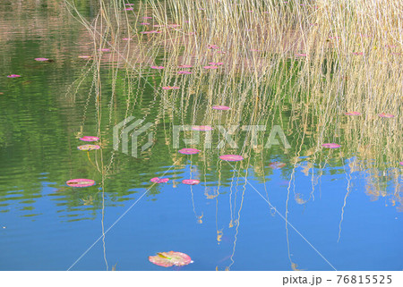 室山池　安曇野市 76815525