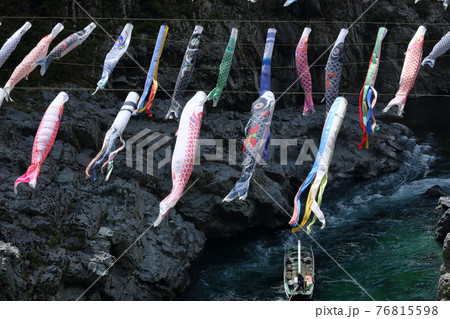 鯉のぼり　秘境大歩危峡を泳ぐ　（徳島県　三好市）	 76815598