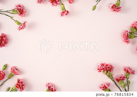 花 フラワー お花 76815834