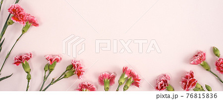花 フラワー お花 76815836