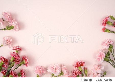 カーネーション ハマナデシコ 背景 76815840