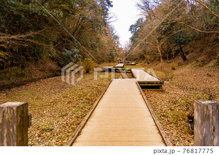 限りなく続く歩道 限りなく続く歩道 76817775